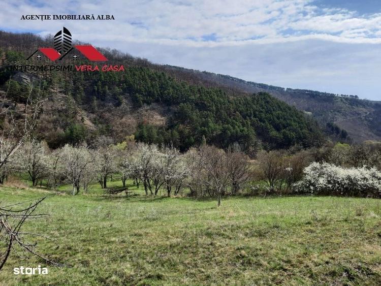 Spațiu comercial, în Valea Vințului