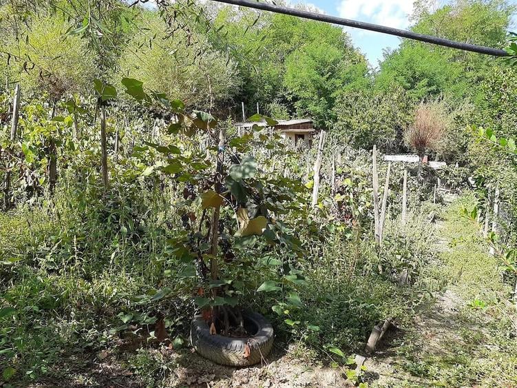 Casă cu 2 camere cu Teren 3840 Mp în Frâncești