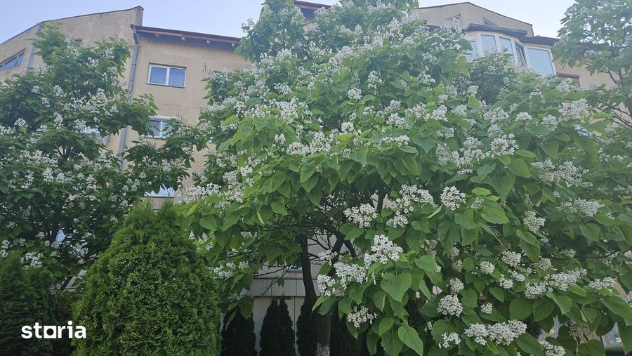 Apartament cu 4 camere decomandat în Dârste