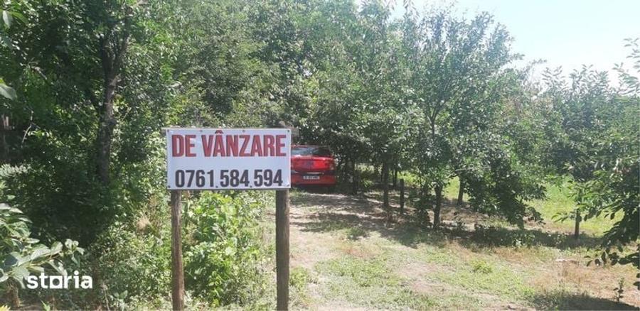 Teren de 2016 mp, în Lilieci