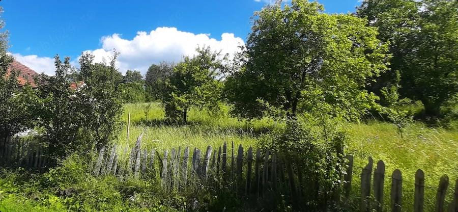 420mp sau 830mp in ?inutul Padurenilor , partea de sud-vest a jud. Hunedoara. - 7