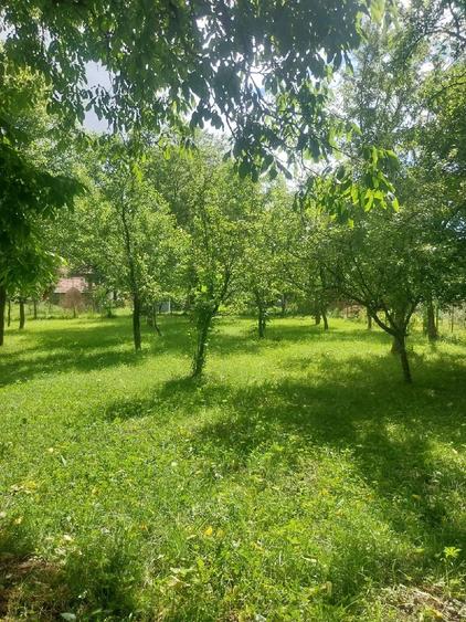 Teren de 1000 mp, în Podul Lung