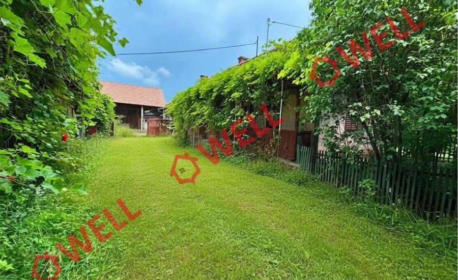 Casă individuală cu 3 camere cu Teren 2136 Mp în Lemnia