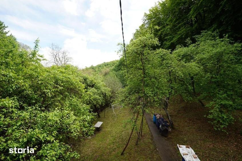 Casă cu 4 camere cu Teren 4891 Mp în Sava