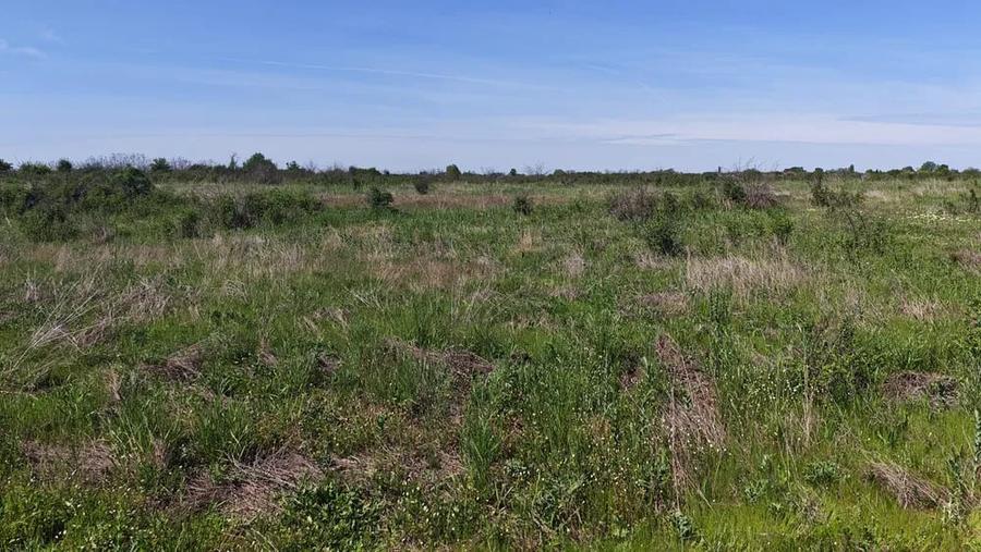 Teren de 46400 mp, în Mătăsaru
