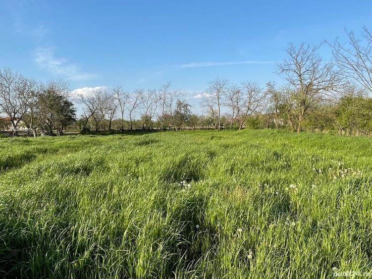 Teren de 3874 mp, în Jabăr