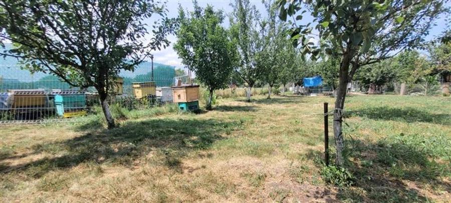 Casă individuală cu 3 camere cu Teren 3100 Mp în Șura Mică