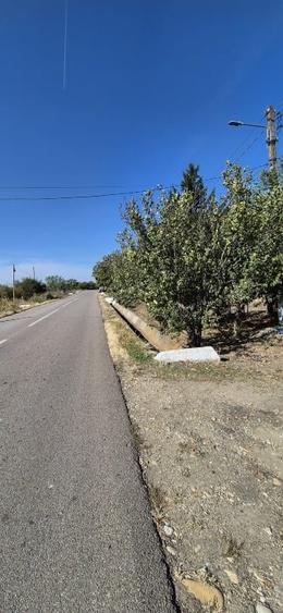 Casă individuală cu 3 camere cu Teren 1000 Mp în Curătești