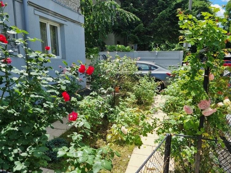 Apartament 3 camere - 3