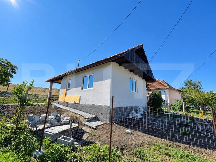 Casă individuală cu 2 camere cu Canalizare în Copăceni