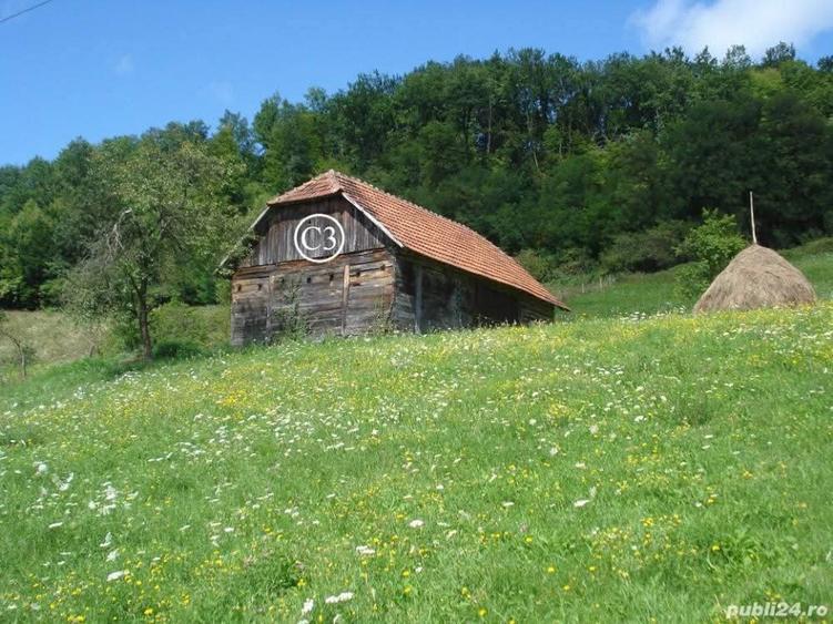 Casă individuală cu 2 camere cu Teren 14368 Mp în Valea Bradului