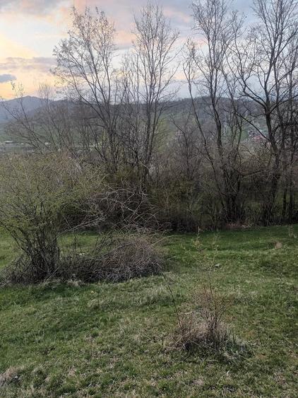 Teren de 2600 mp, în Izvoarele