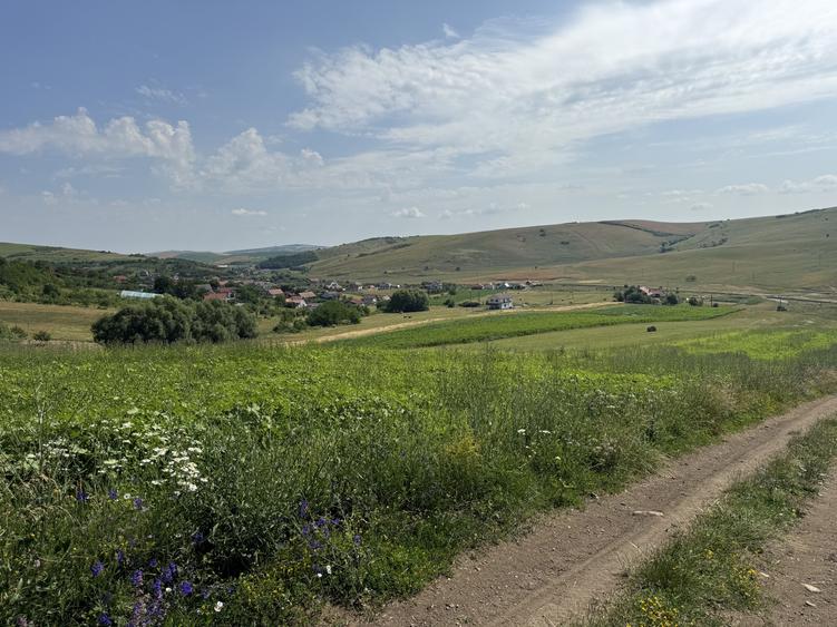 Teren Construcții intravilan de 5800 mp, în Dezmir