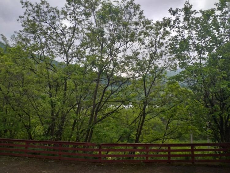 Teren de 7432 mp, în Săsciori
