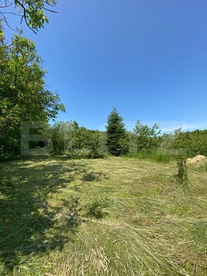 Teren Construcții intravilan de 3000 mp, în Sud-Vest