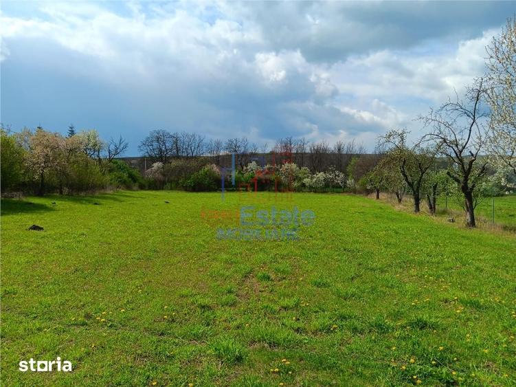 Teren de 3000 mp, în Scobinți