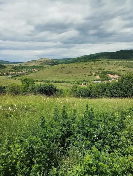 Teren de 2200 mp, în Rădaia