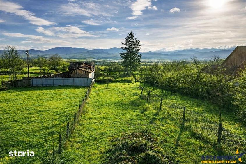 FILM! Casa cu sura, pivnita, balta cu pesti, 2.280 mp teren roditor, L - 3