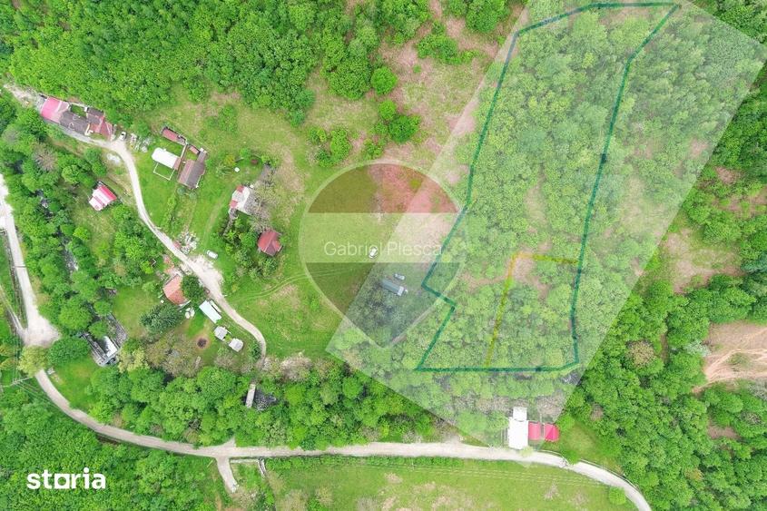 Teren intravilan, 6700 mp, Curent, Zona populata, Apuseni, zona Boga