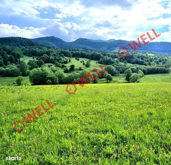 Spațiu comercial, în Vama Buzăului