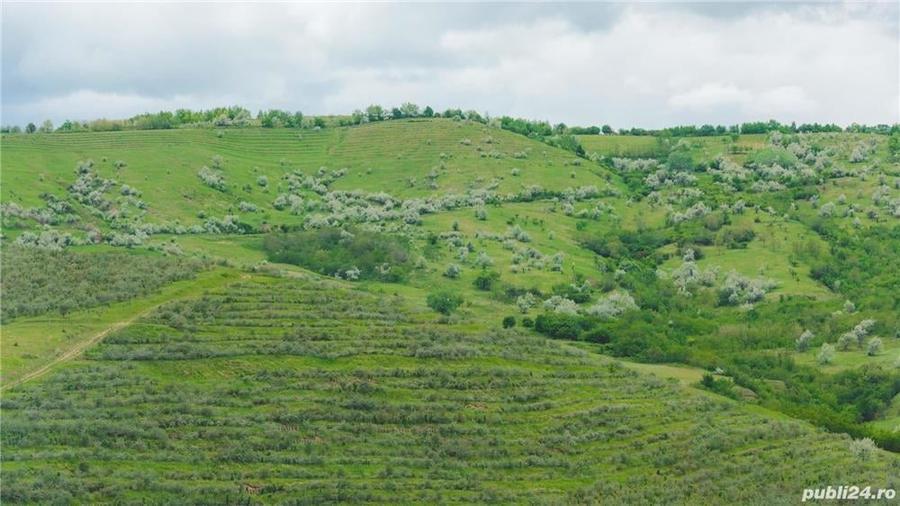 Teren de 20000 mp, în Vadu Săpat
