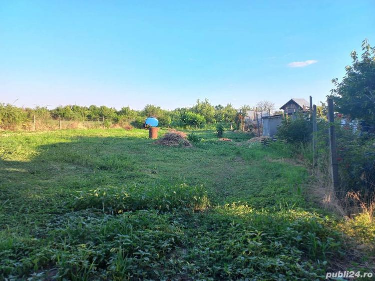 Vand casa de locuit si teren agricol si livada - 7