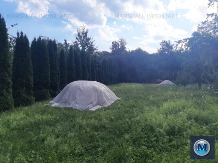 Casă cu 4 camere cu Teren 1500 Mp în Teișani