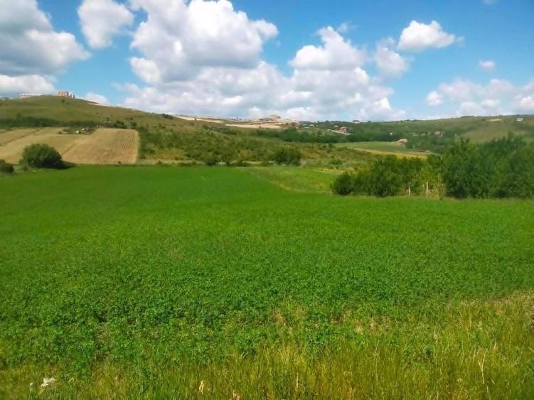 Teren de 5515 mp, în Dezmir