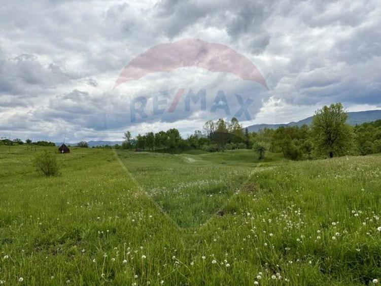 Teren agricol extravilan de 20876 mp, în Breb