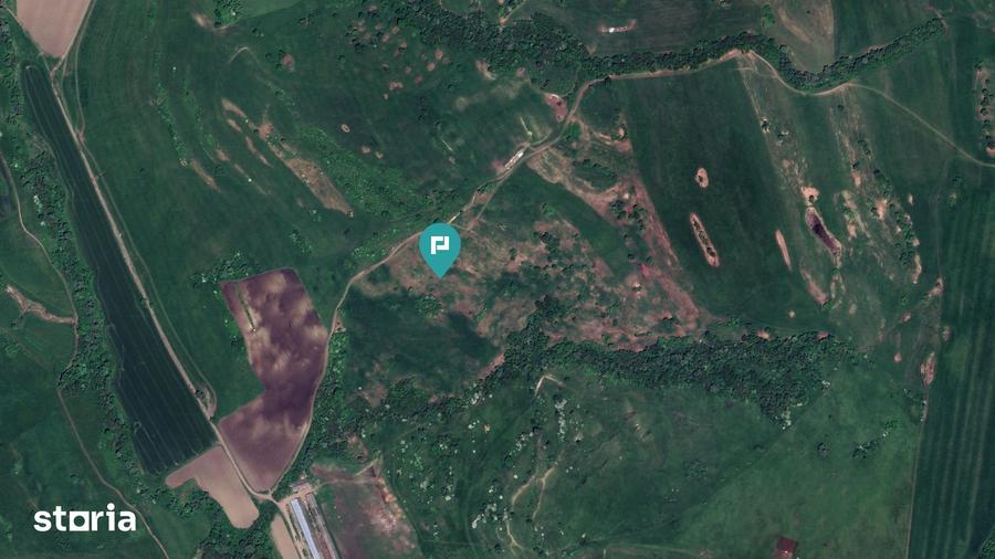 Teren de 1950000 mp, în Cincu
