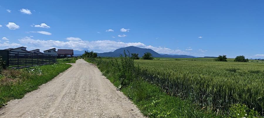 Loturi de casă în Hălchiu - Brașov. - 4