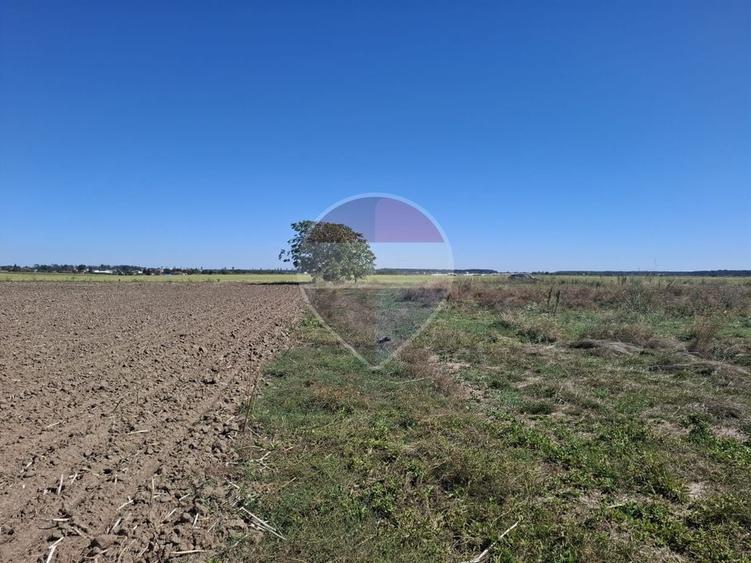 Teren agricol extravilan de 5000 mp, în Centura Vest