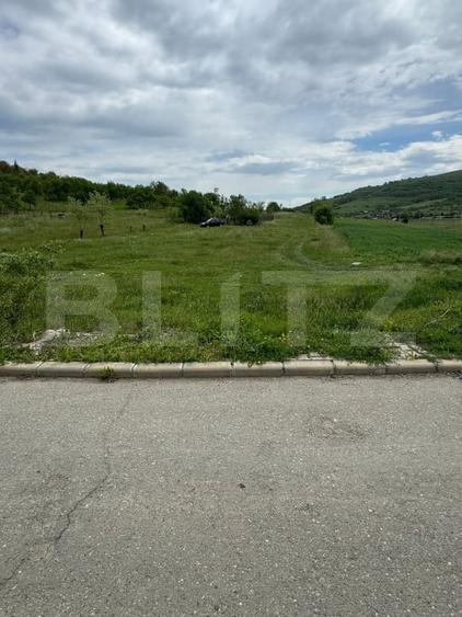Teren Construcții intravilan de 2900 mp, în Exterior Sud