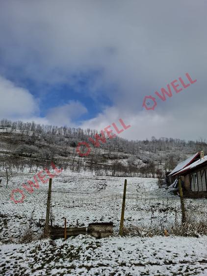 Casă individuală cu 3 camere cu Teren 2000 Mp în Gogan