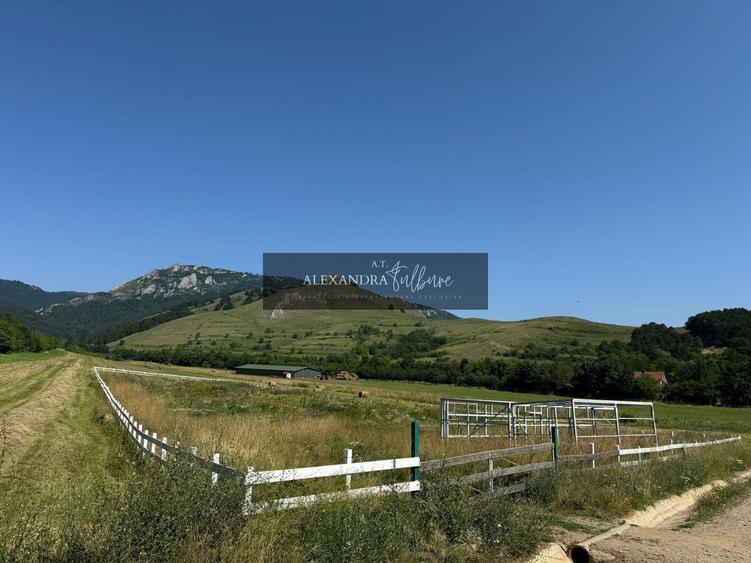 Teren agricol extravilan de 9000 mp, în Rimetea