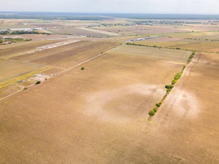 Teren Construcții intravilan de 11332 mp, în Dascălu
