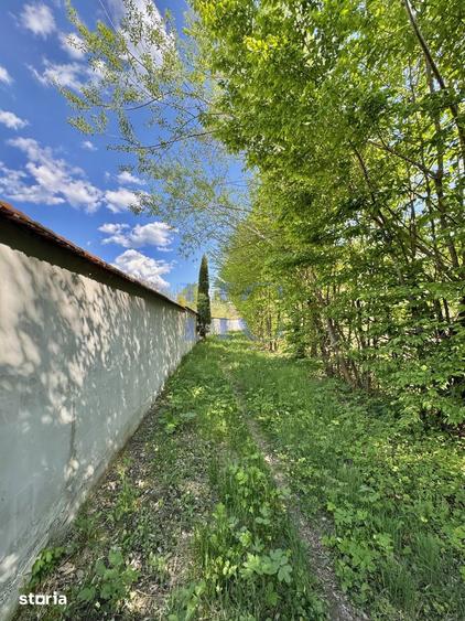Teren de 1600 mp, în Central