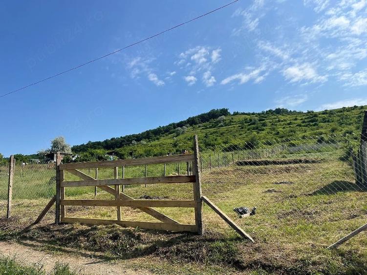 Teren de 1000 mp, în Schitu Duca