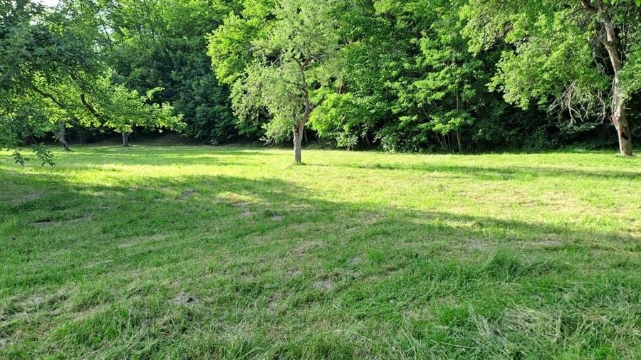 Teren de 3700 mp, în Porumbacu de Sus