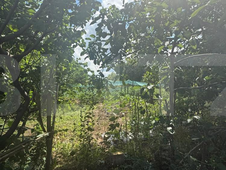 Casă cu 2 camere cu Teren 5000 Mp în Schit-Orășeni