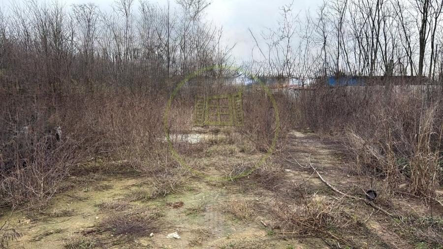 Teren Construcții intravilan de 300 mp, în Preajba