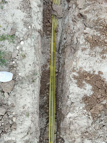 Teren de 9545 mp, în Berceni