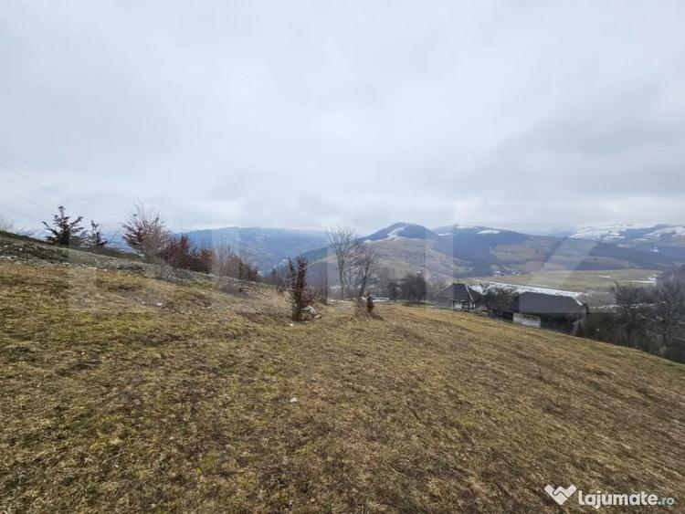 Teren de 7297 mp, în Dăroaia