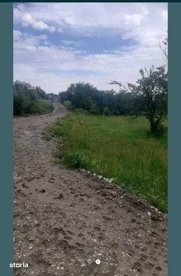 Teren de 15000 mp, în Filipeștii de Pădure