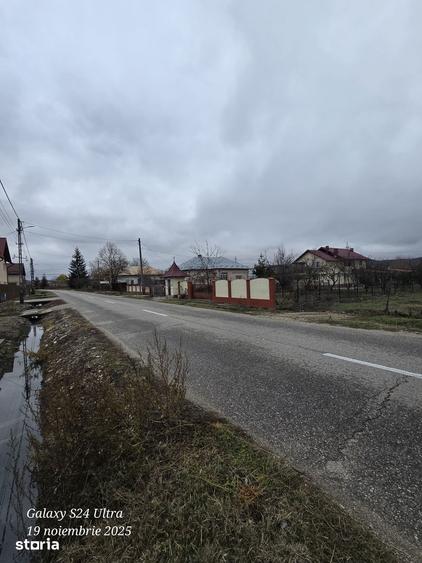 Teren de 5000 mp, în Merișani