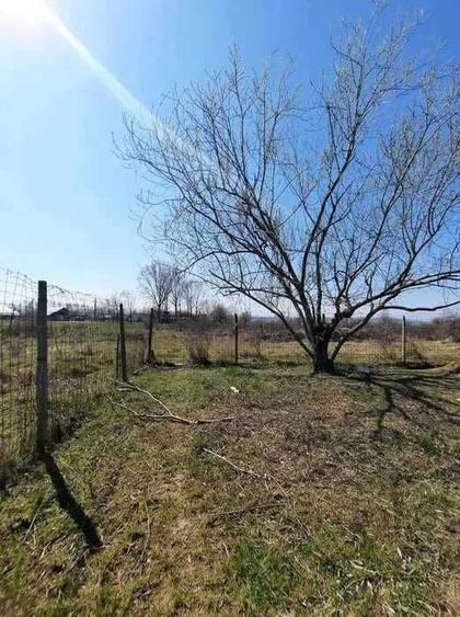 Teren de 5000 mp, în Șimian