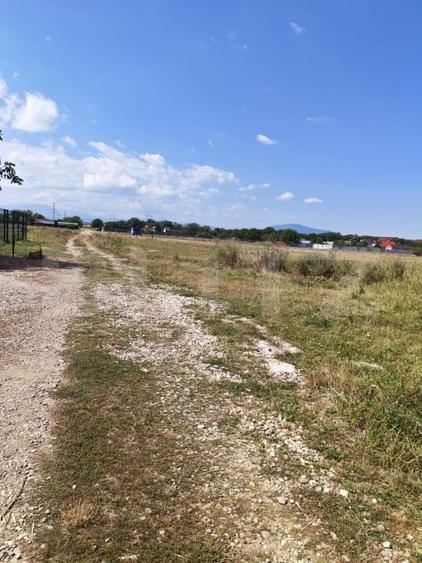 Teren Construcții intravilan de 1279 mp, în Sânpetru