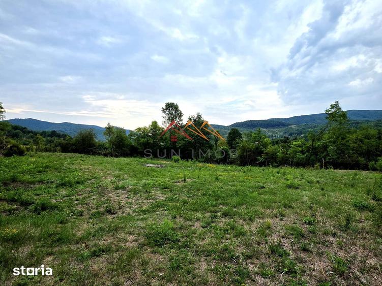 Teren de 2600 mp, în Provița de Jos