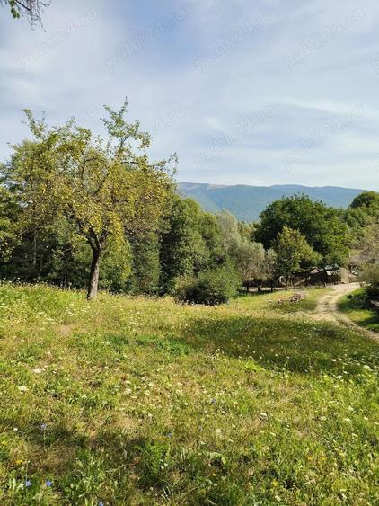 Teren 3.800 mp - Slatina, Nucsoara - 2