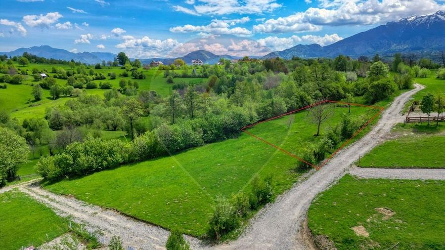 Teren Construcții intravilan de 500 mp, în Tohănița